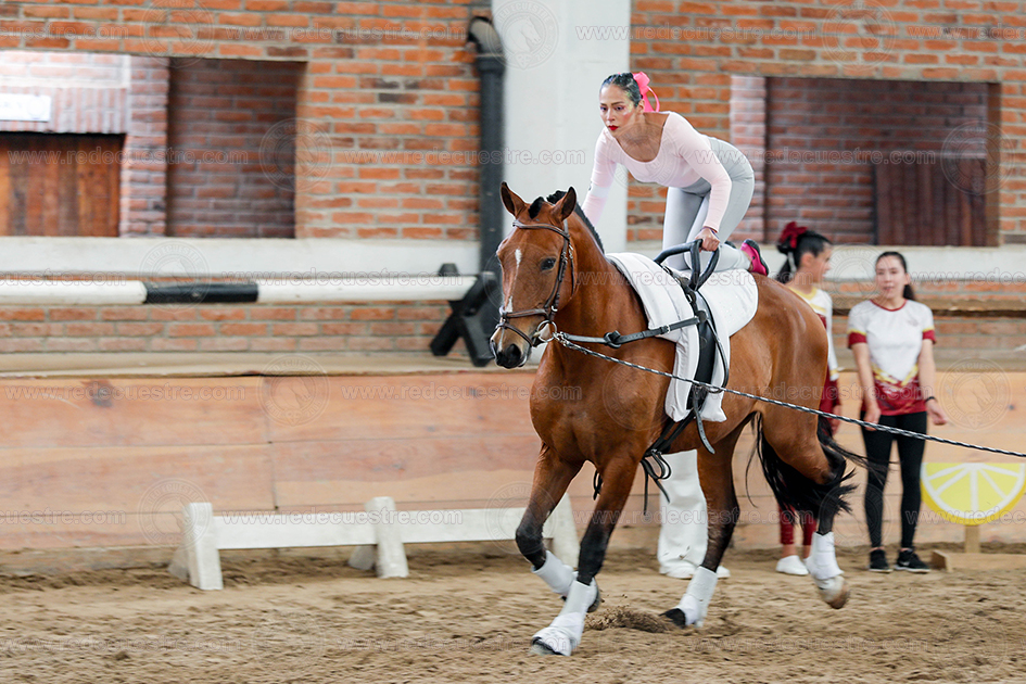 Circuito Metropolitano de Vaulting 2026-
Acopilco