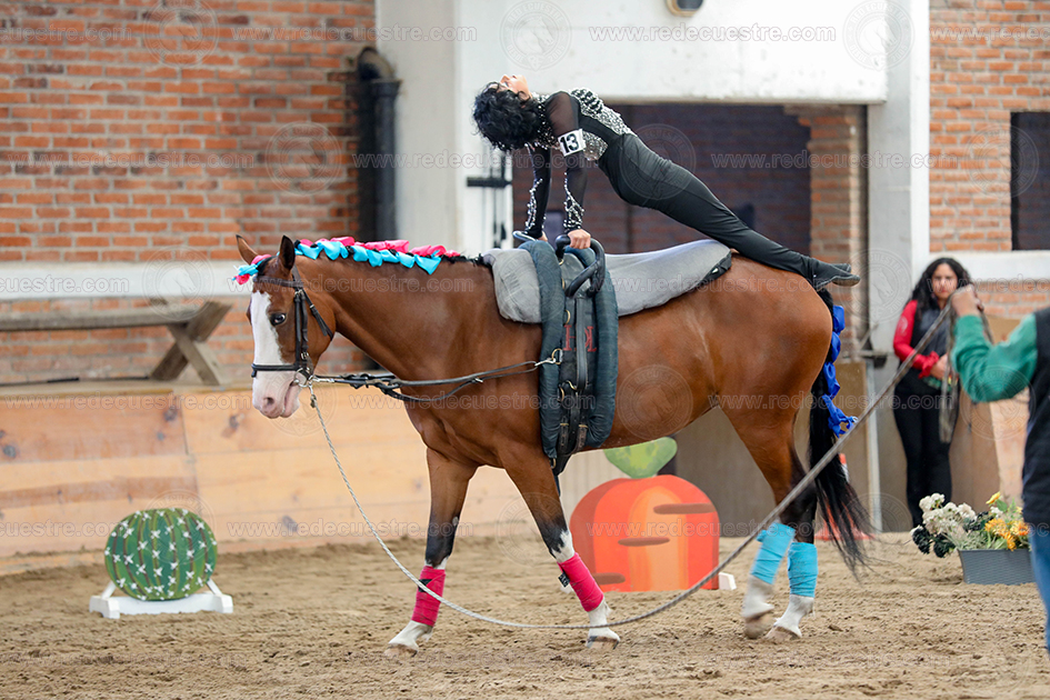 Circuito Metropolitano de Vaulting 2026-
Acopilco
