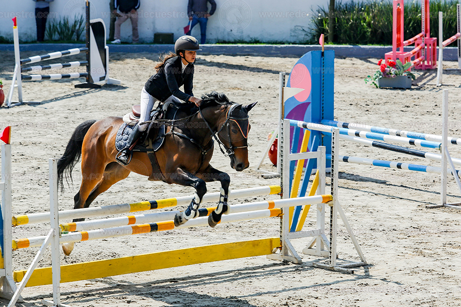 uarta Fecha del Circuito Ecuestre Defensa 2026
