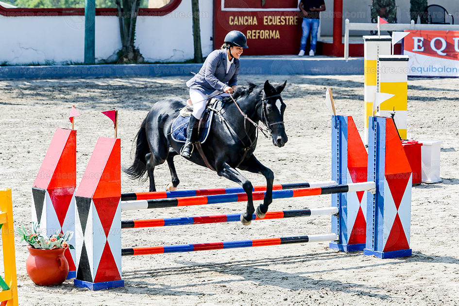 uarta Fecha del Circuito Ecuestre Defensa 2026