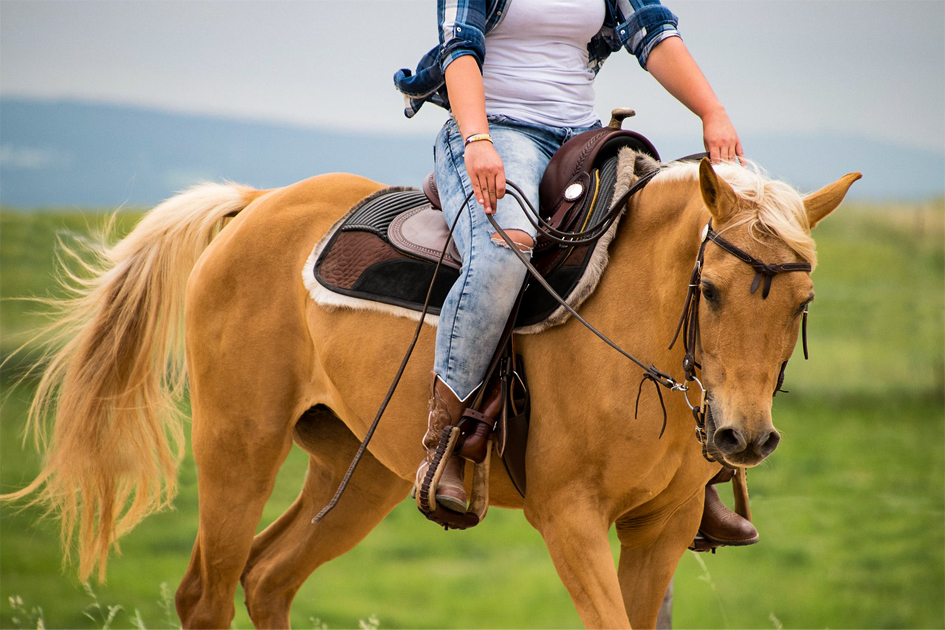 Brenda ¿Y si el problema nunca fue el caballo?