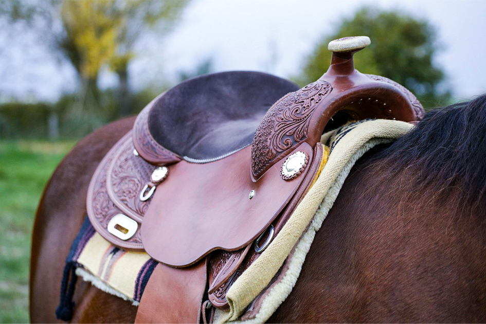 Brenda ¿Y si el problema nunca fue el caballo?