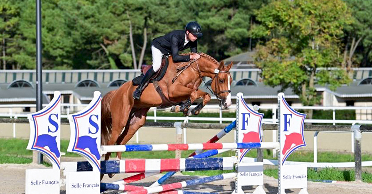 Caballo Silla Francesa