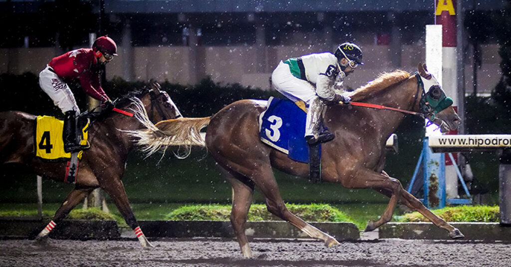 Newton y Tacana brillan en el Hipódromo de Las Américas
