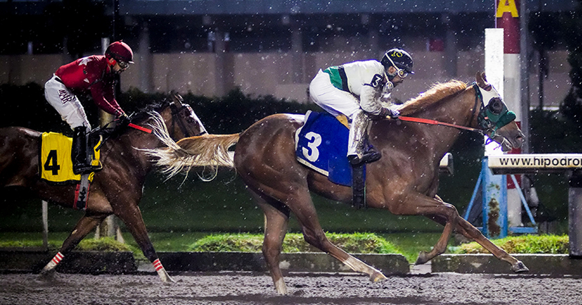 Newton y Tacana brillan en el Hipódromo de Las Américas
