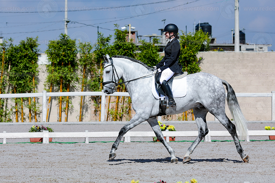 Rancho St. Vincent CDN ekaterine