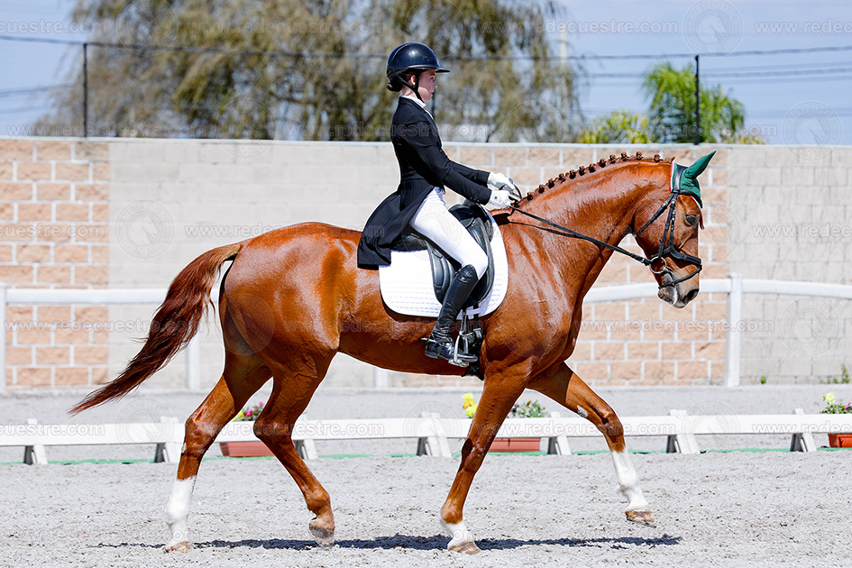 Rancho St. Vincent CDN mer-davinci