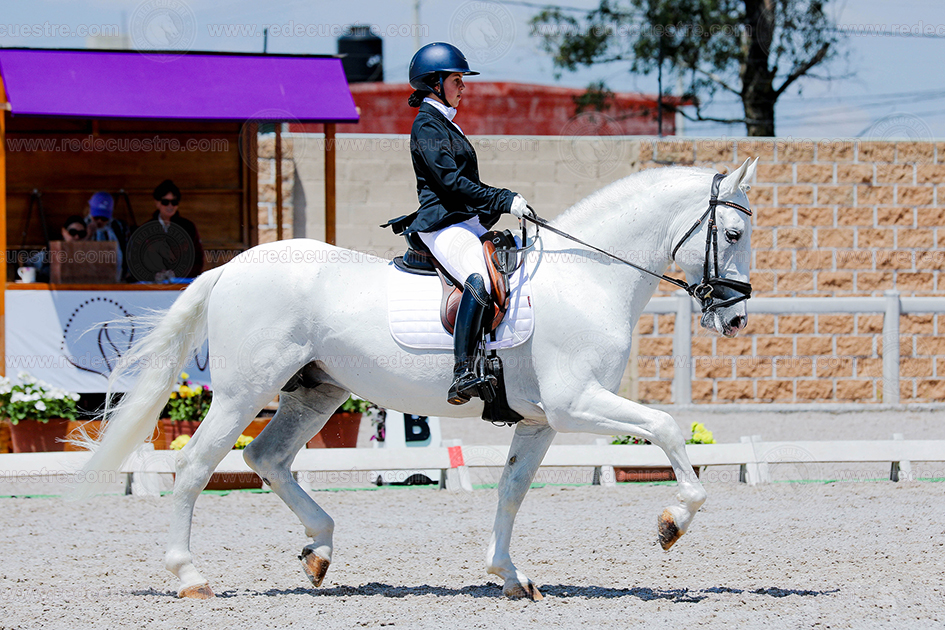 Rancho St. Vincent CDN ma jose narro