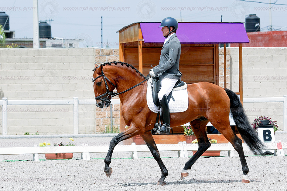 Rancho St. Vincent CDN toño -romeo
