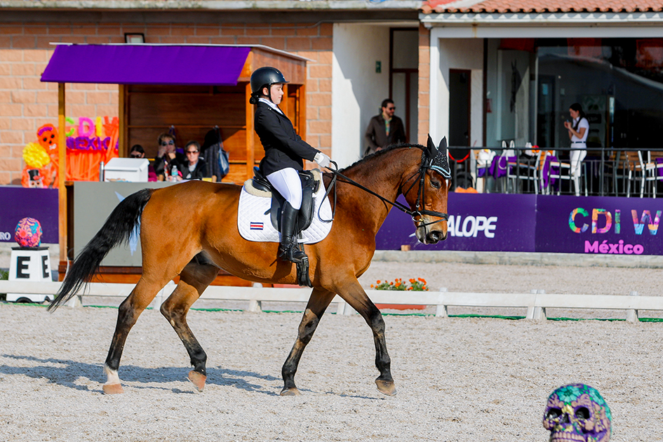 Borrowed Horses 26