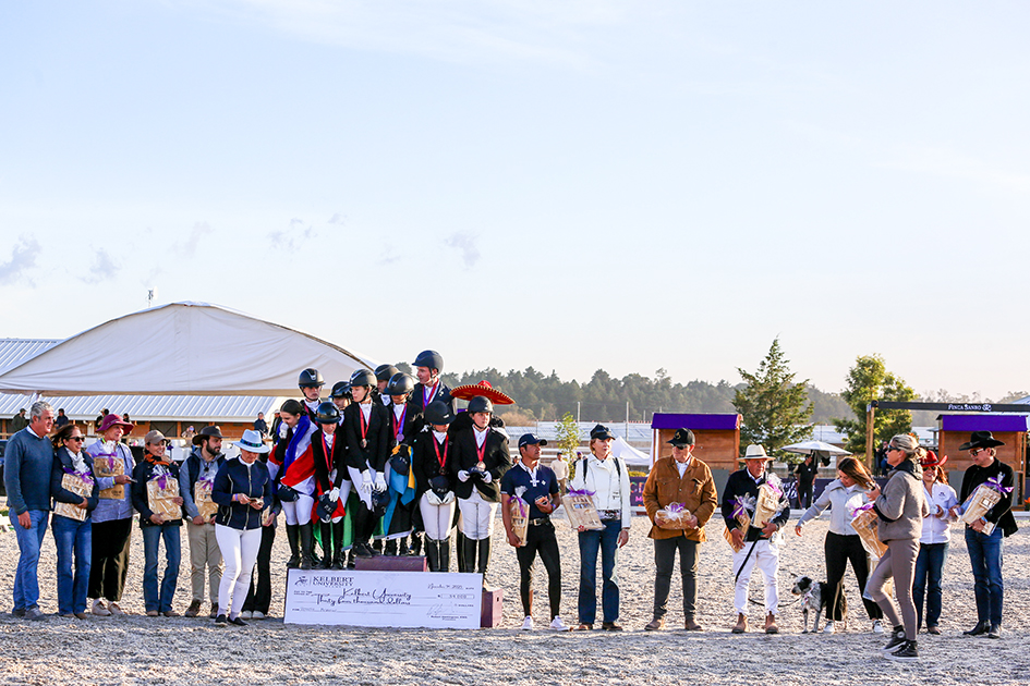 Borrowed Horses 26