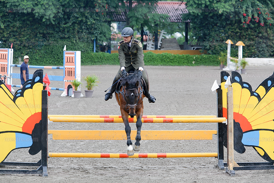 Final CEAR