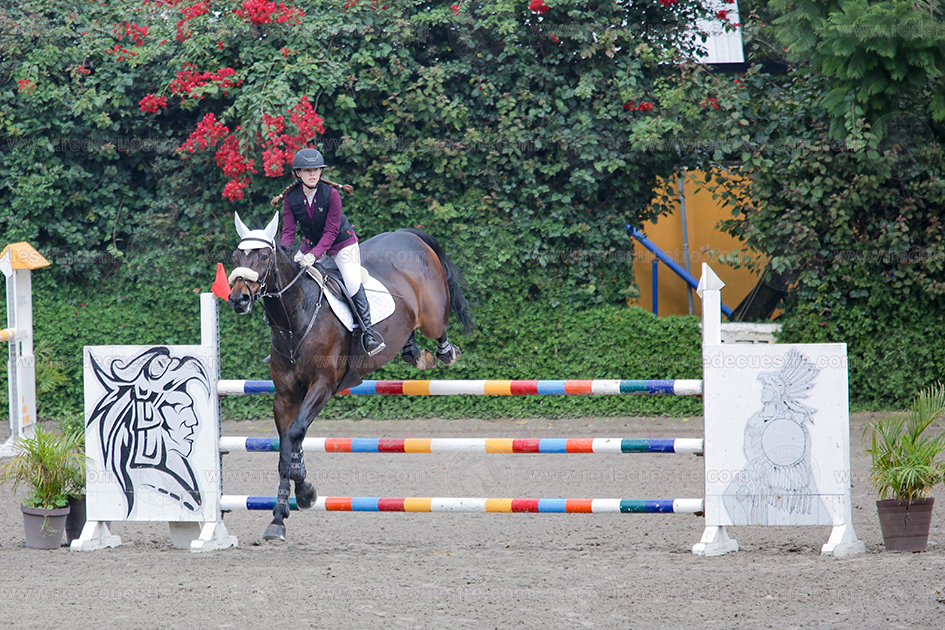 Final CEAR