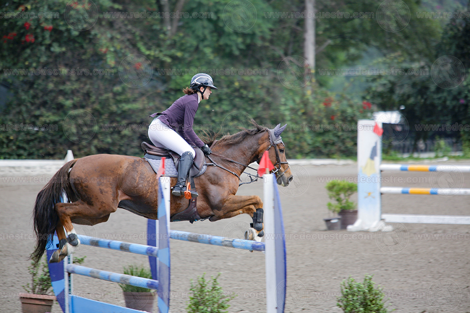 Final CEAR