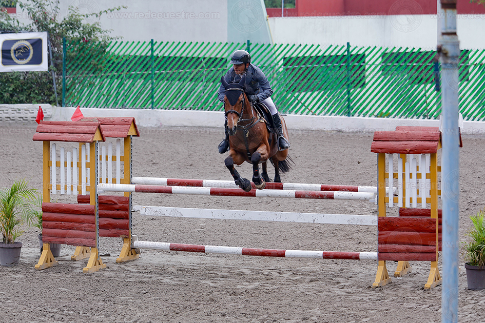 Final CEAR