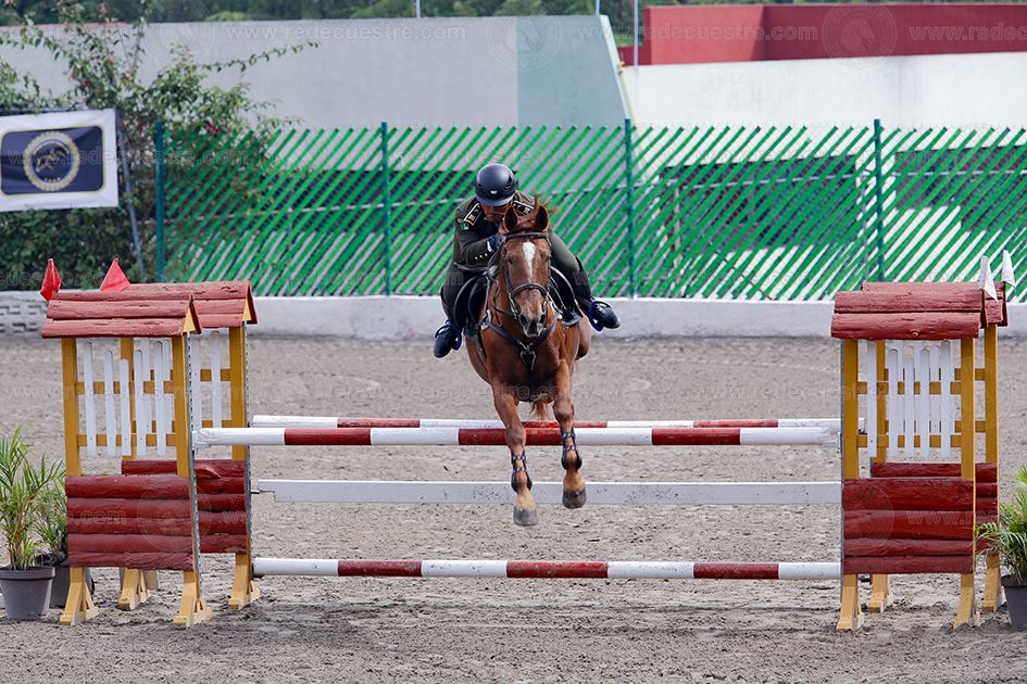 Final CEAR