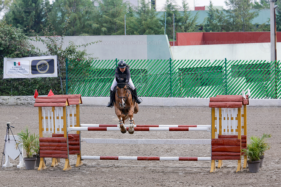 Final CEAR