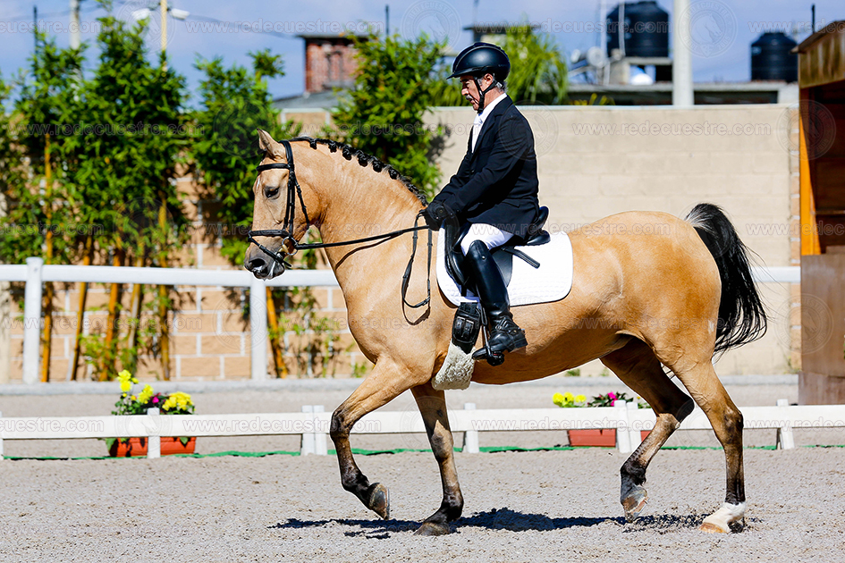 Rancho St. Vincent CDN rufino-brisa