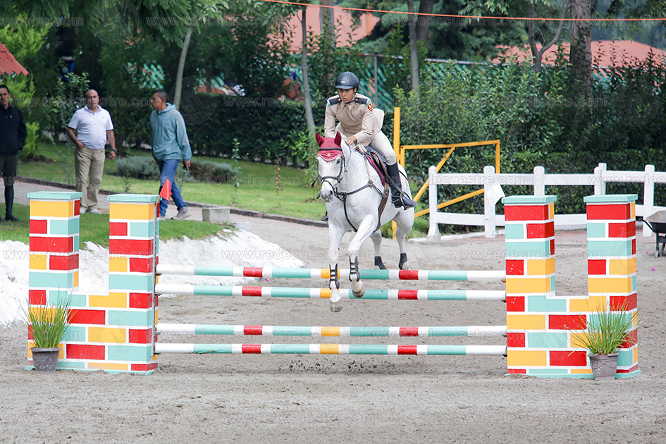 Final CEAR