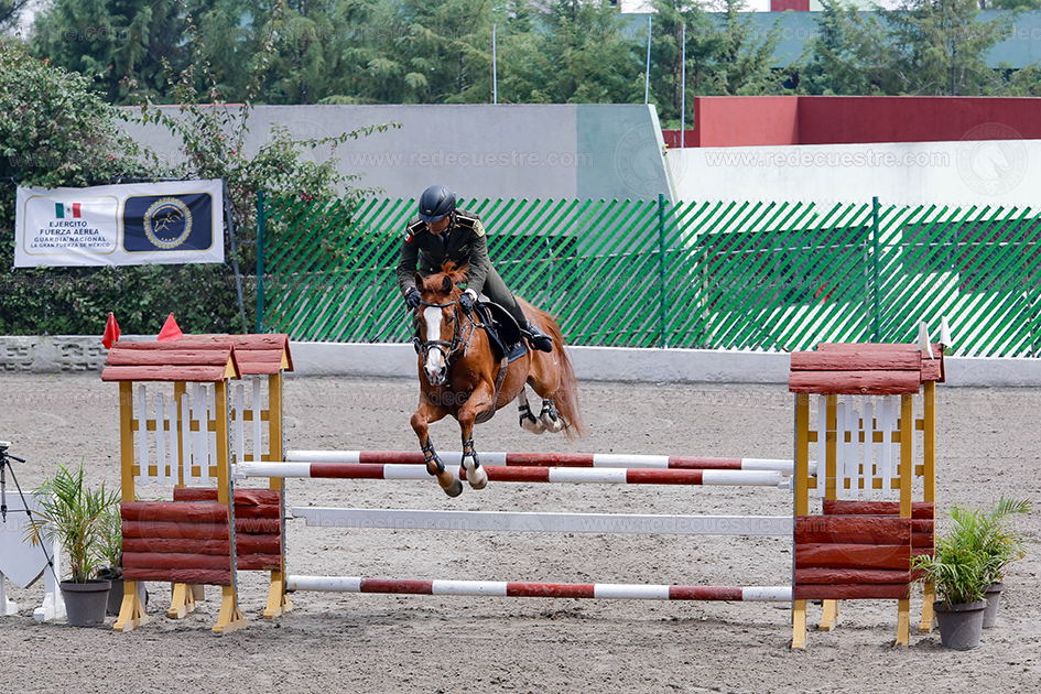 Final CEAR