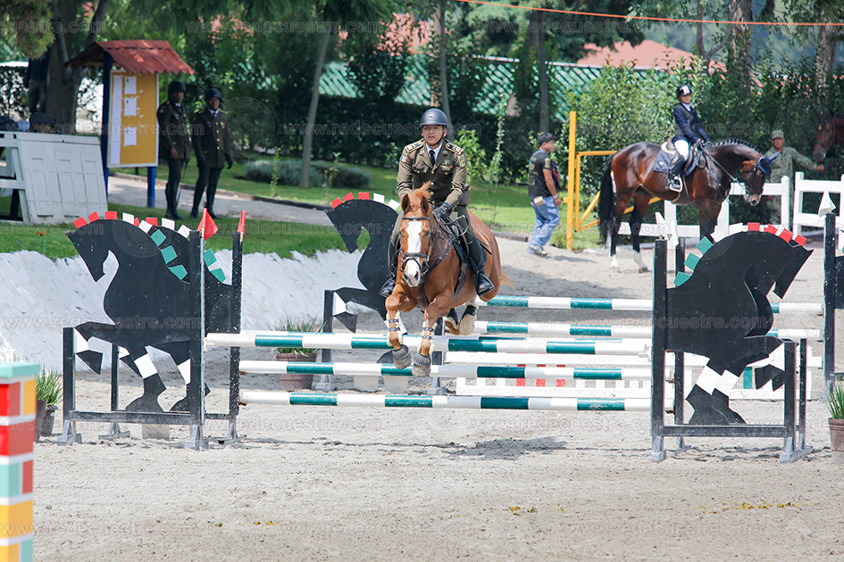 Final CEAR