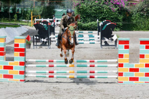 Final CEAR