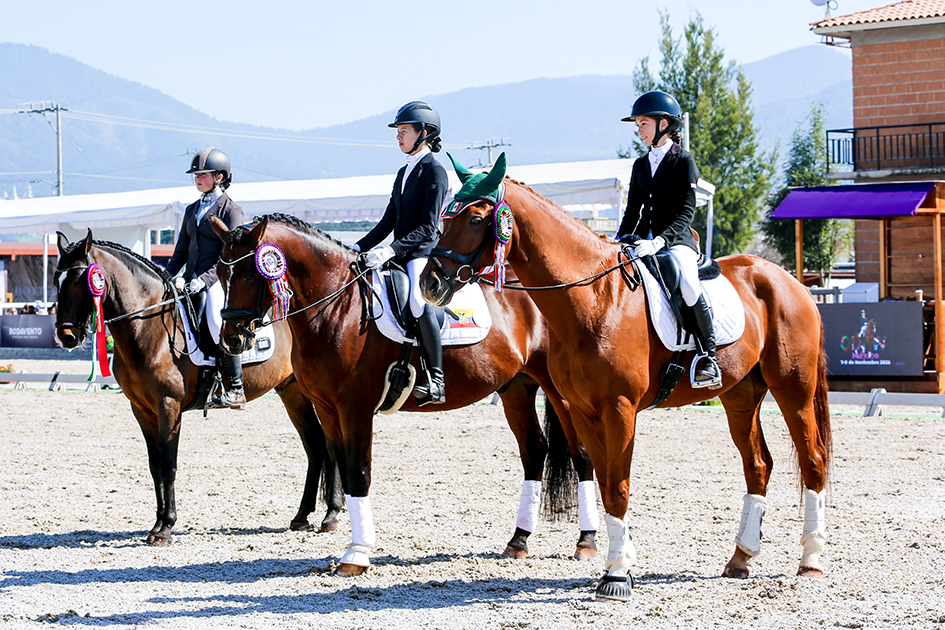 Borrowed Horses 26