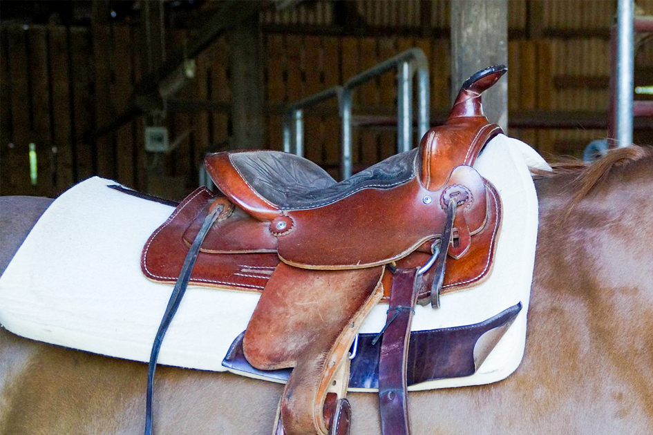 El ajuste de la silla de montar en caballos