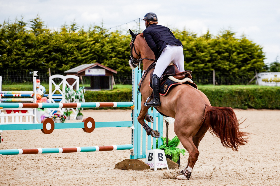 ¿Cómo saber si una silla de montar le queda bien a un caballo?