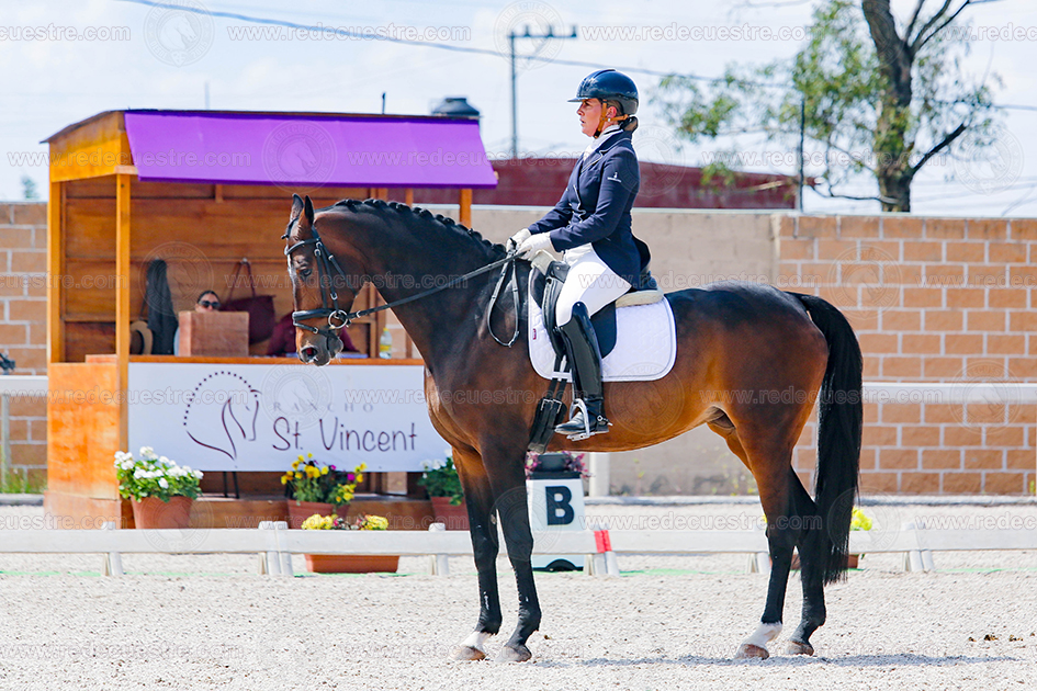 Rancho St. Vincent CDN mariana -micontha